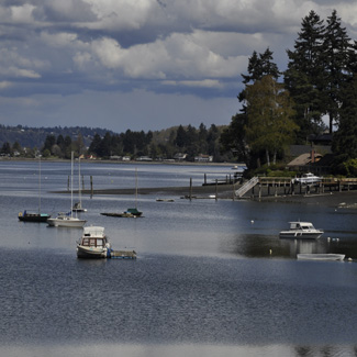 Birding Site of the week image